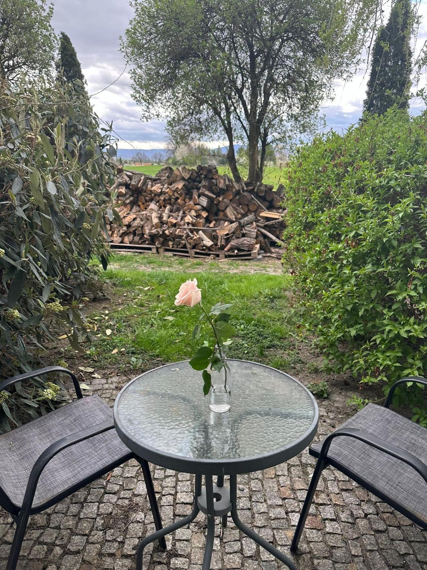 Forteca, Pokoje Goscinne Nad Stawem Dzierzoniow Exterior foto